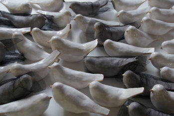80 VREDESVOGELS .....