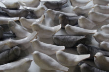 80 VREDESVOGELS .....